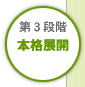 第3段階「本格展開」